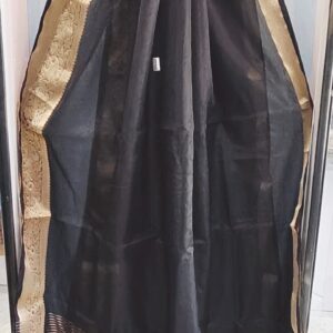 Organza with Zari border