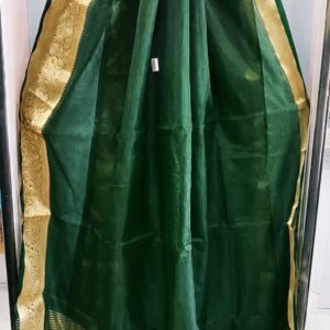 Organza with zari border